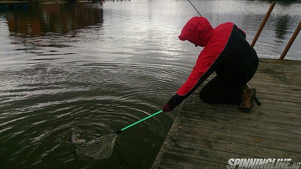 Изображение 1 : Отборы в сборную России по ловле рыбы спиннингом с берега